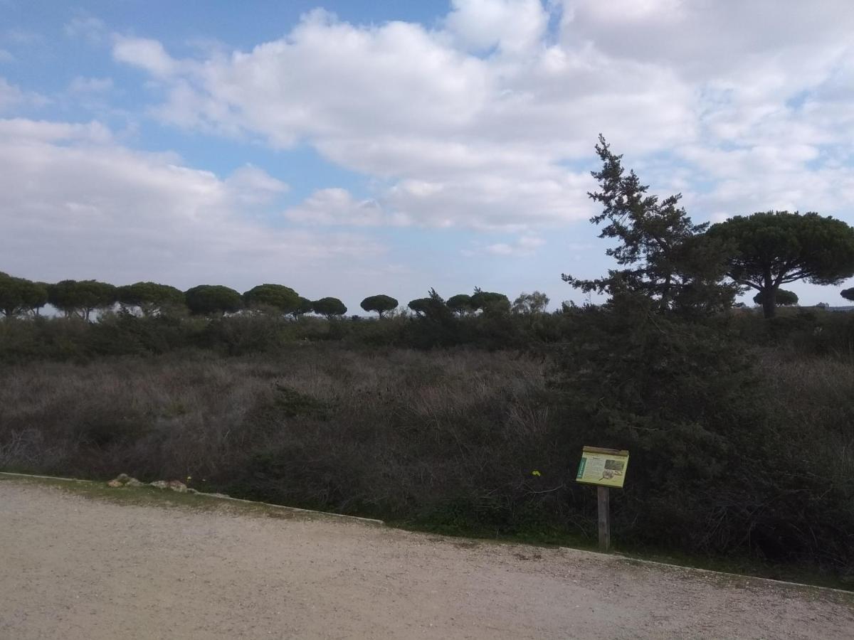 Tu Denscanso En Valdelagrana Frente Al Mar Ел Пуерто де Санта Мария Екстериор снимка